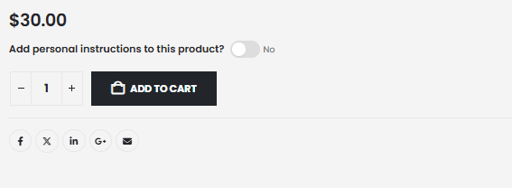 Product page before conditional fields are toggled.